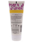 Renewal Refining Cleanser by Burts Bees for Unisex - 6 oz Cleanser